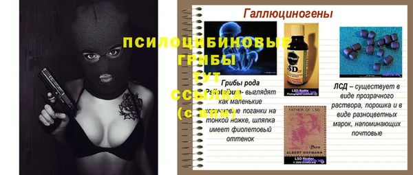 эйфоретик Балахна