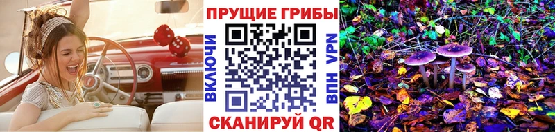Галлюциногенные грибы Magic Shrooms закладка Звенигово